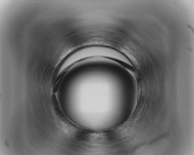 X0000095920160200801181425