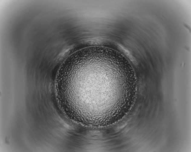 X0000095920161200801181425