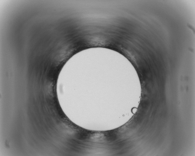 X0000095920162200801181425