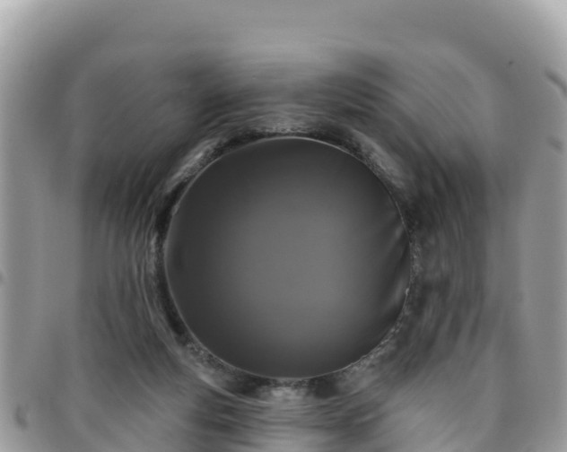 X0000095920163200801181425