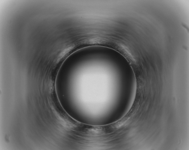 X0000095920164200801181425