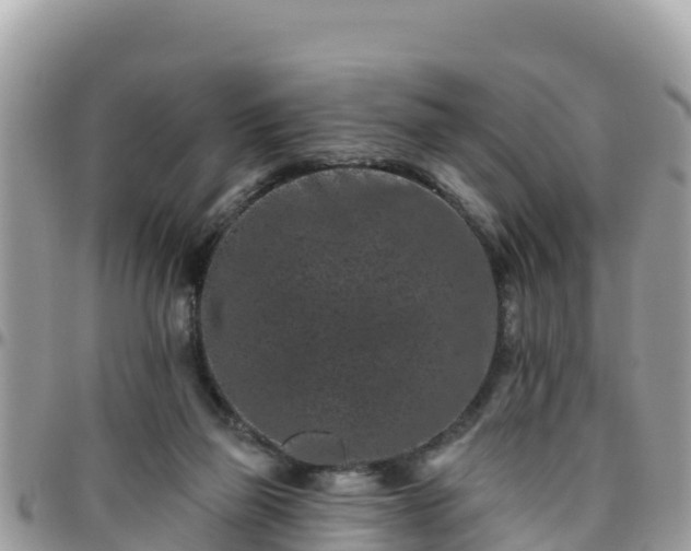 X0000095920165200801181425