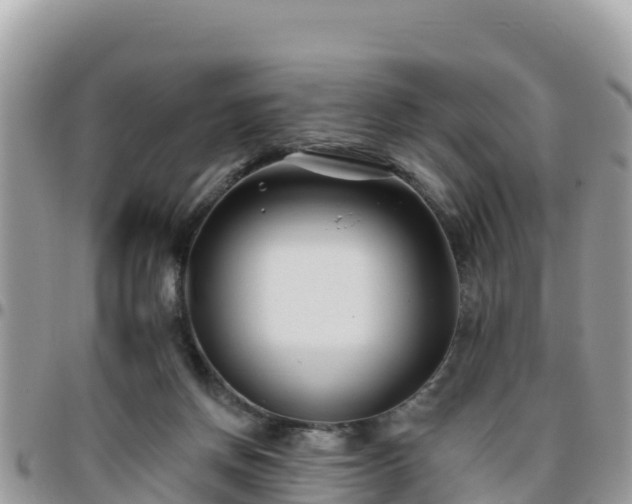 X0000095920166200801181425