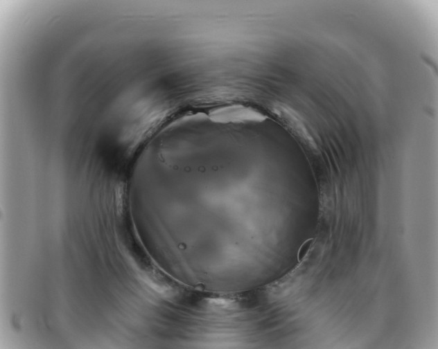 X0000095920167200801181425