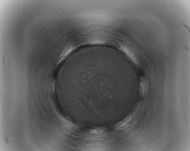 X0000095920168200801181426