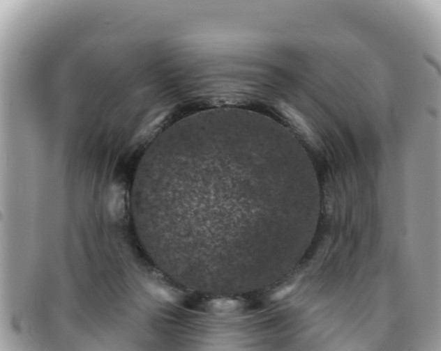 X0000095920169200801181426