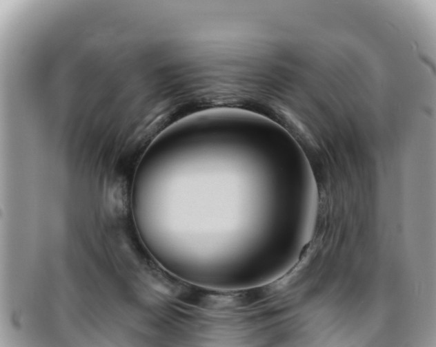 X0000095920170200801181426