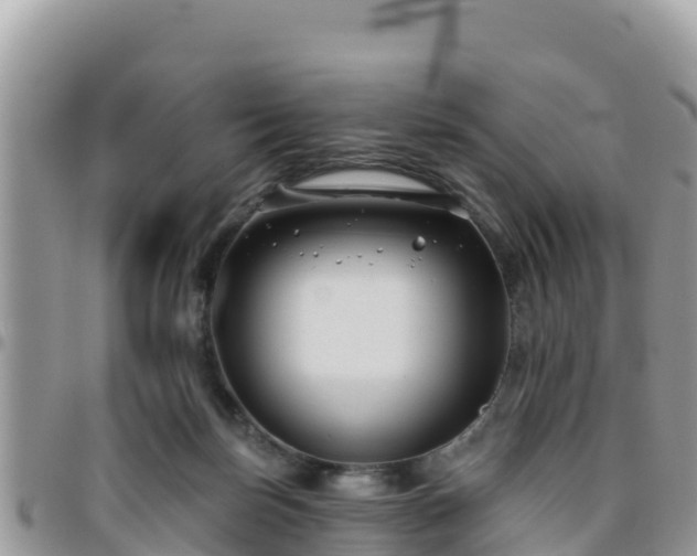 X0000095920171200801181426