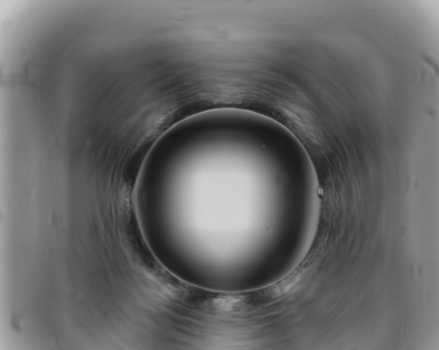 X0000095920172200801181426