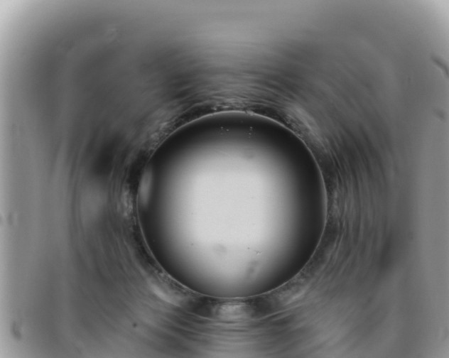 X0000095920173200801181426