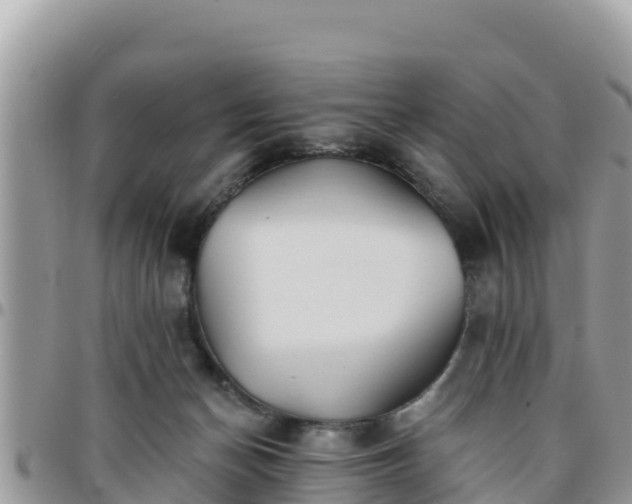 X0000095920174200801181426