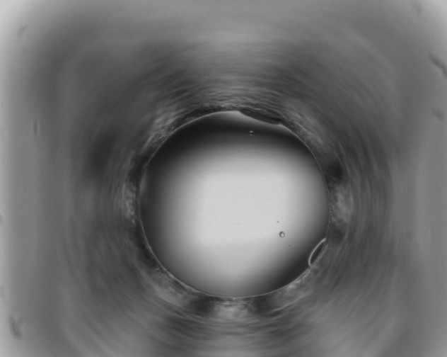 X0000095920175200801181426