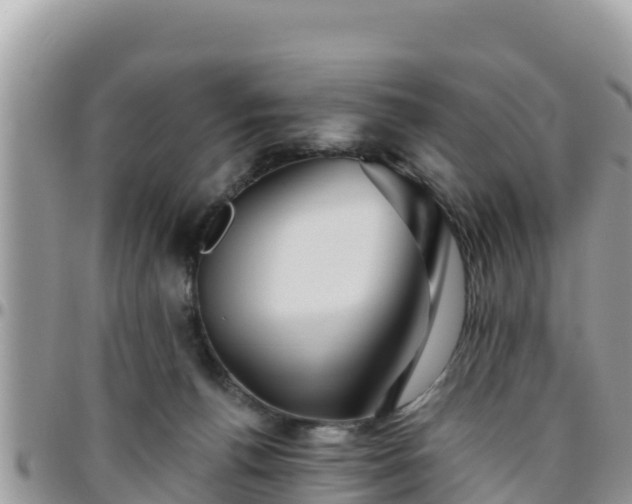 X0000095920176200801181426