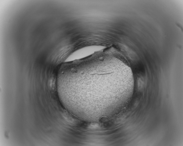 X0000095920177200801181426