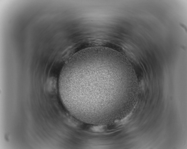 X0000095920178200801181426