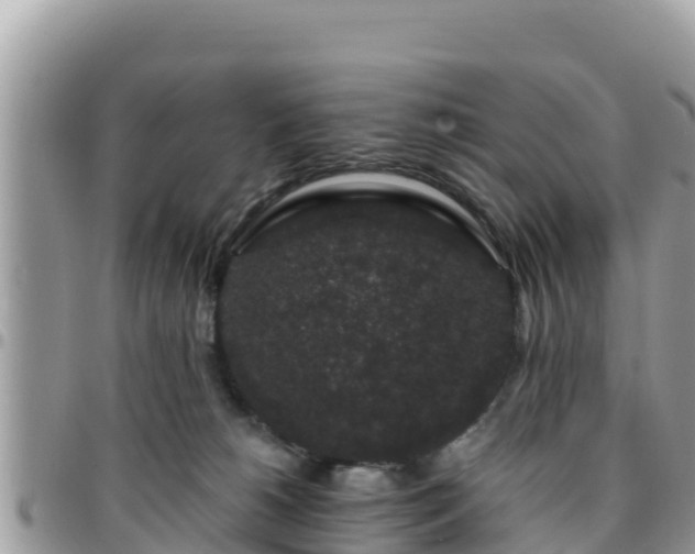 X0000095920180200801181426