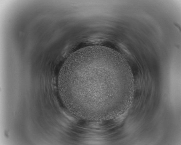 X0000095920182200801181426