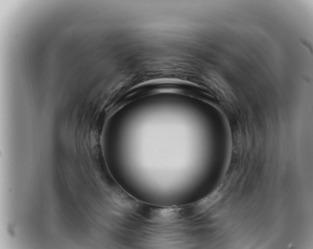 X0000095920184200801181426