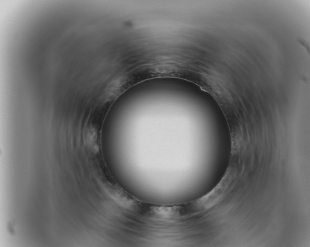 X0000095920187200801181426