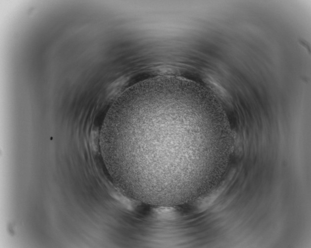 X0000095920189200801181426