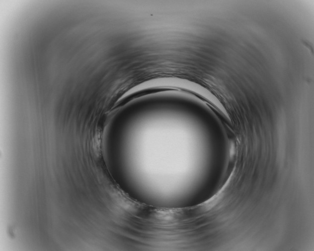 X0000095920190200801181426