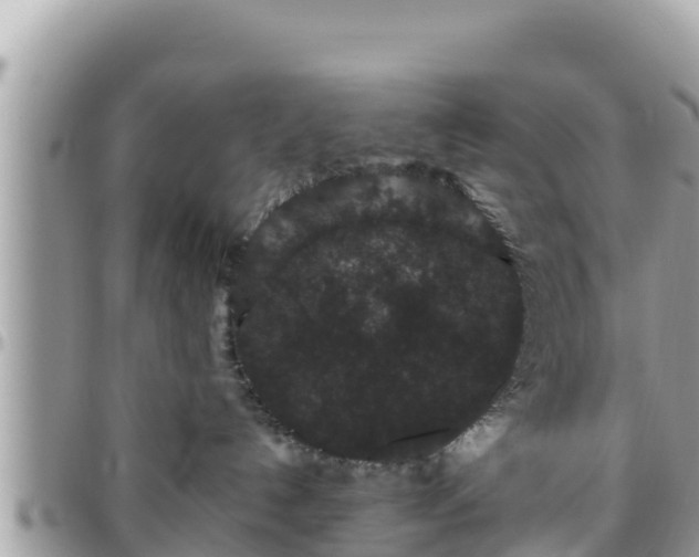 X0000095920192200801181426