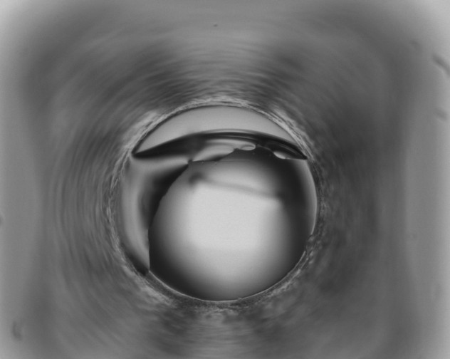 X0000095920193200801181425