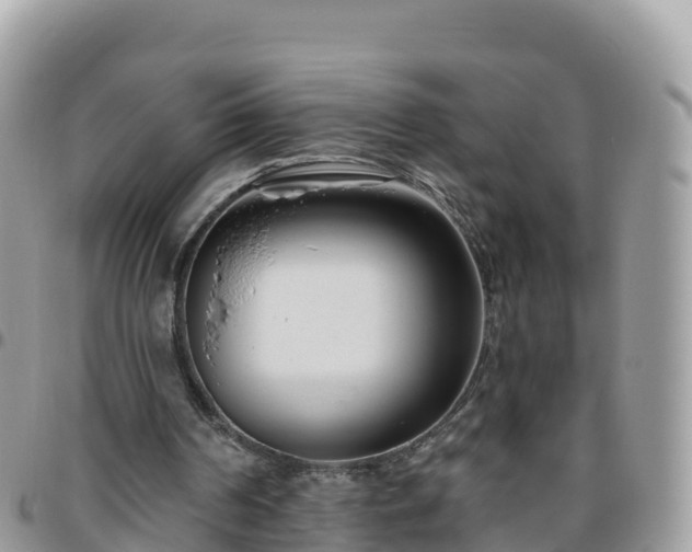 X0000095920194200801181425