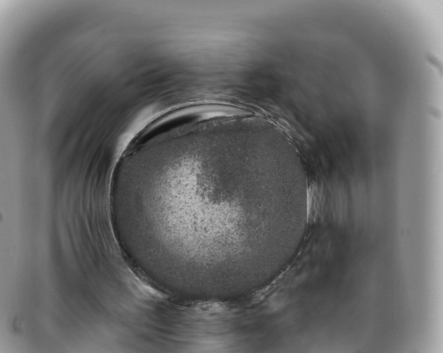 X0000095920195200801181425