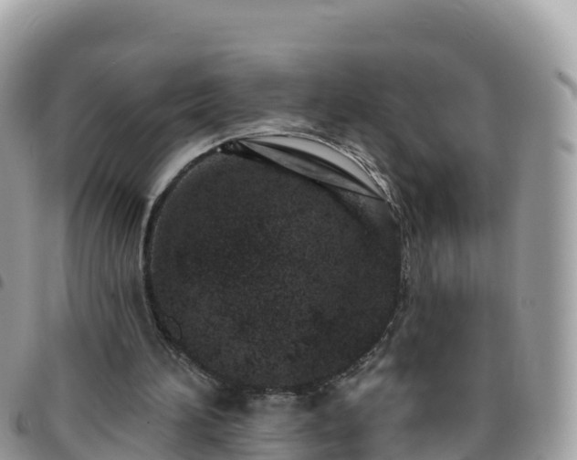 X0000095920196200801181425