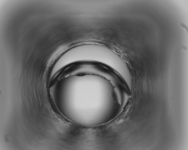 X0000095920197200801181425