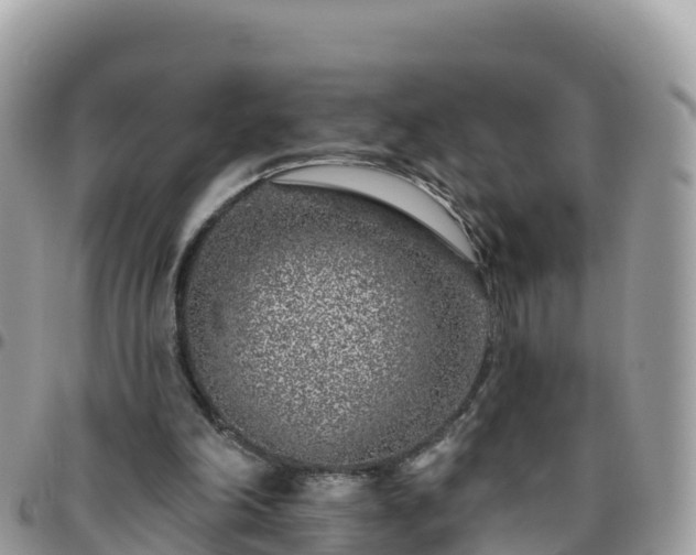 X0000095920198200801181425