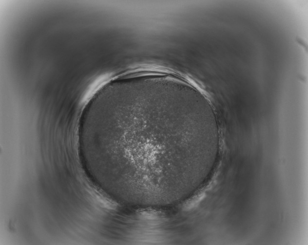 X0000095920199200801181425