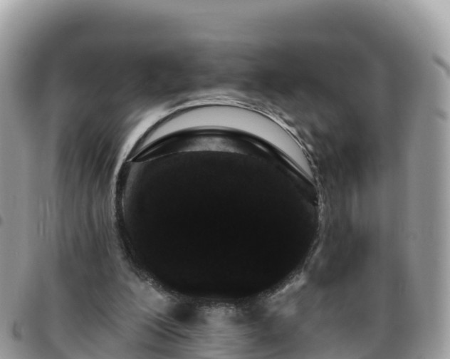 X0000095920200200801181425