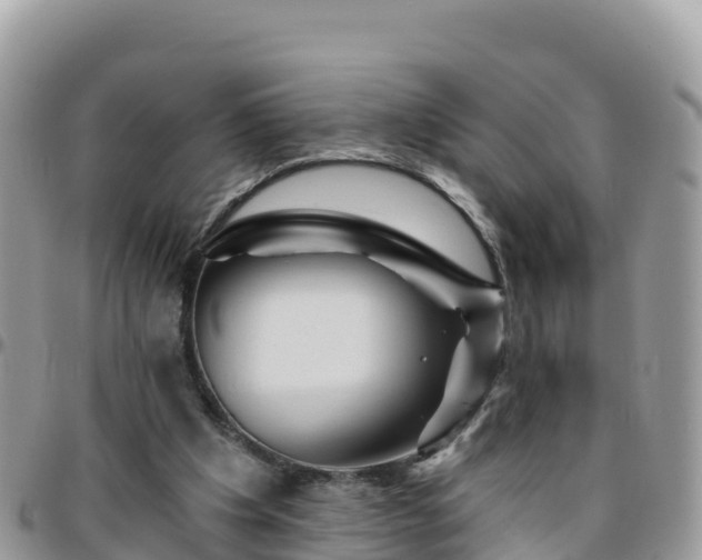 X0000095920201200801181425