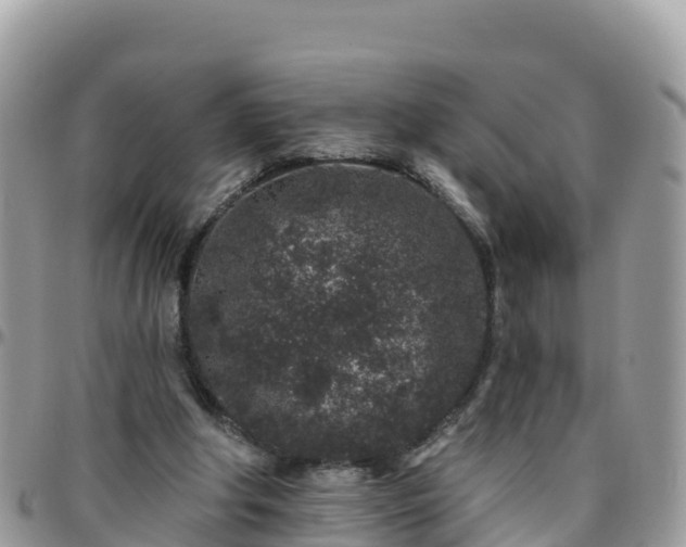 X0000095920202200801181425