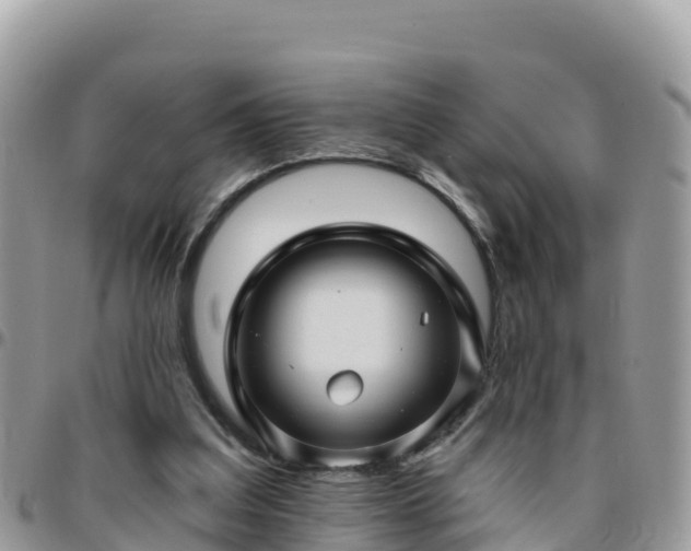 X0000095920203200801181425