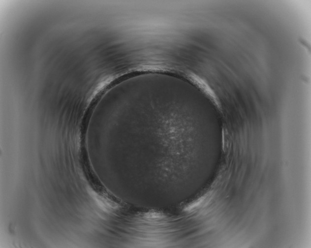 X0000095920204200801181425