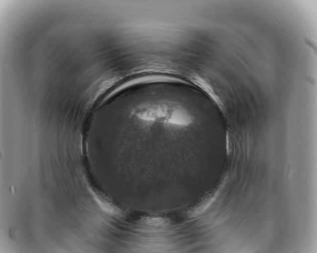 X0000095920205200801181425