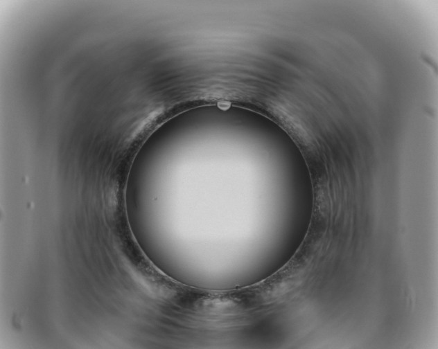 X0000095920208200801181425