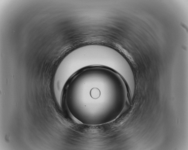 X0000095920209200801181425