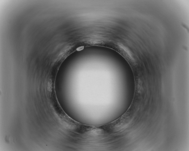 X0000095920210200801181425