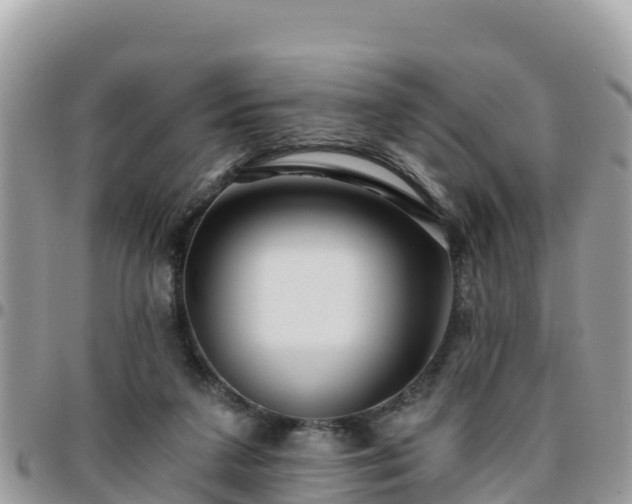 X0000095920211200801181425