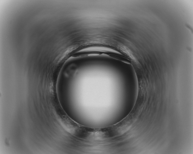 X0000095920212200801181425