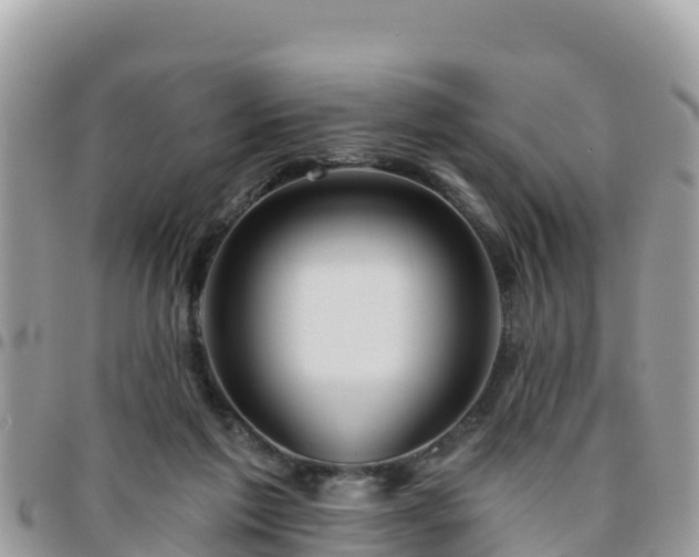 X0000095920213200801181425