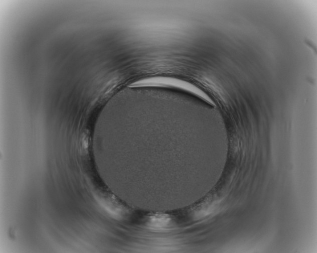 X0000095920214200801181425