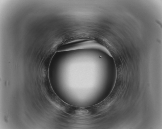 X0000095920215200801181425