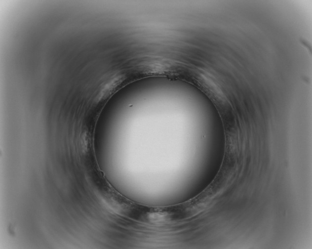 X0000095920216200801181425