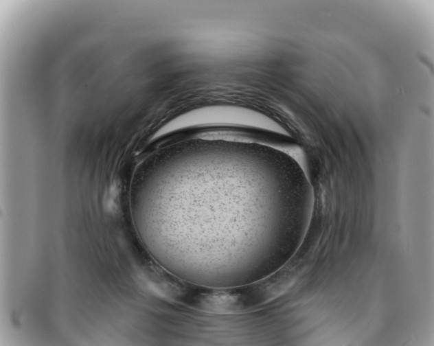 X0000095920217200801181425