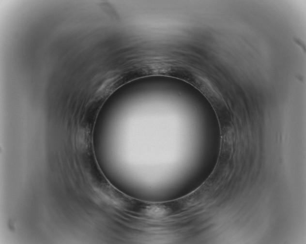 X0000095920218200801181425